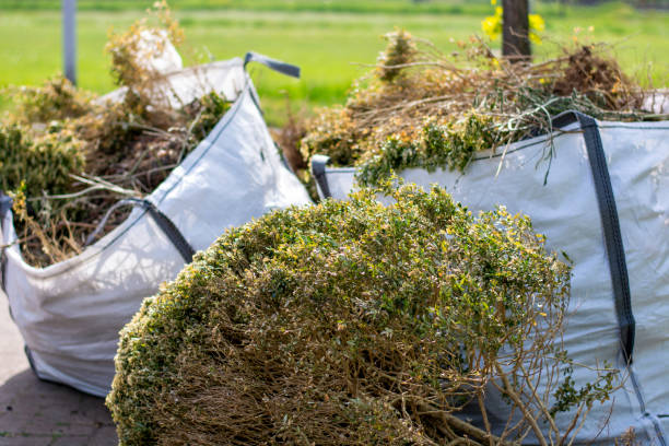 Best Dumpster Rental Services  in De Smet, SD